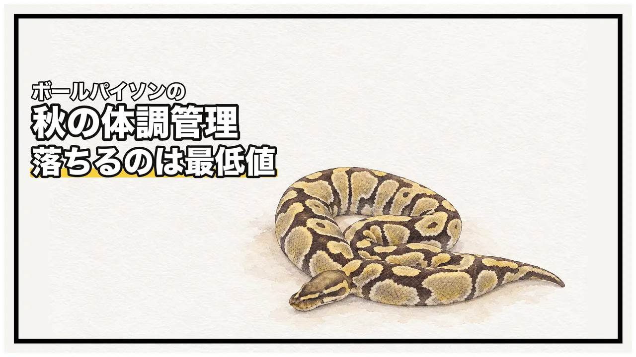 eyecatch