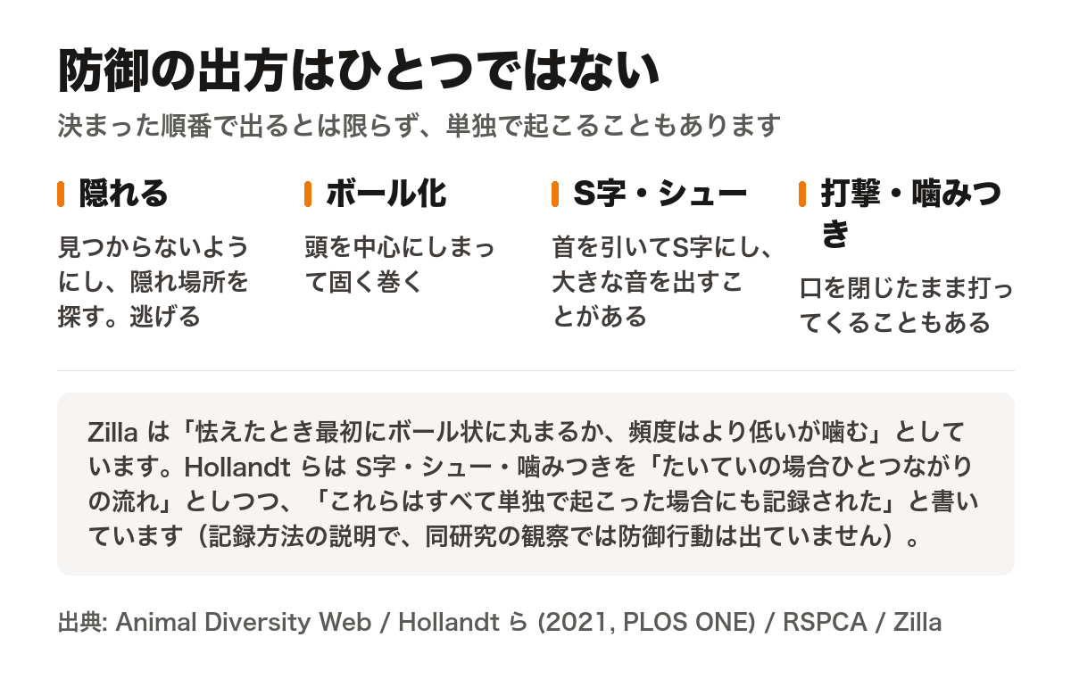 ボールパイソンの防御の出方は一つではないことを示す図。隠れる、ボール化、首をS字に引いて大きな音を出す、打撃・噛みつきの4つを並べ、決まった順番で出るとは限らず単独で起こることもあると注記している
