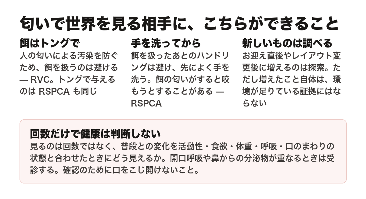 匂いで世界を見る相手に飼い主ができることを3つ並べた図。餌はトングで扱う（人の匂いによる汚染を防ぐため、RVCのケアシート。トングで与えるのはRSPCAも同じ）、餌を扱ったあとのハンドリングは避け先によく手を洗う（餌の匂いがすると咬もうとすることがある、RSPCA）、新しいものには舌が増えるがそれ自体は環境が足りている証拠にはならない。あわせて、回数だけで健康は判断せず、開口呼吸や鼻からの分泌物が重なるときは受診する、確認のために口をこじ開けない、という注意を添えた図