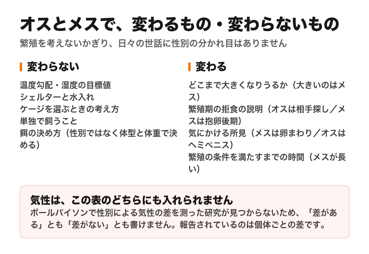 オスとメスで変わるものと変わらないものを2列に並べた図。変わらないのは、温度勾配と湿度の目標値、シェルターと水入れ、ケージを選ぶときの考え方、単独で飼うこと、餌の決め方（性別ではなく体型と体重で決める）。変わるのは、どこまで大きくなりうるか（大きいのはメス）、繁殖期の拒食の説明（オスは相手探し・メスは抱卵後期）、気にかける所見（メスは卵まわり・オスはヘミペニス）、繁殖の条件を満たすまでの時間（メスが長い）。下段の注意書きは、ボールパイソンで性別による気性の差を測った研究が見つからないため、気性は「差がある」とも「差がない」とも書けず、報告されているのは個体ごとの差であること。