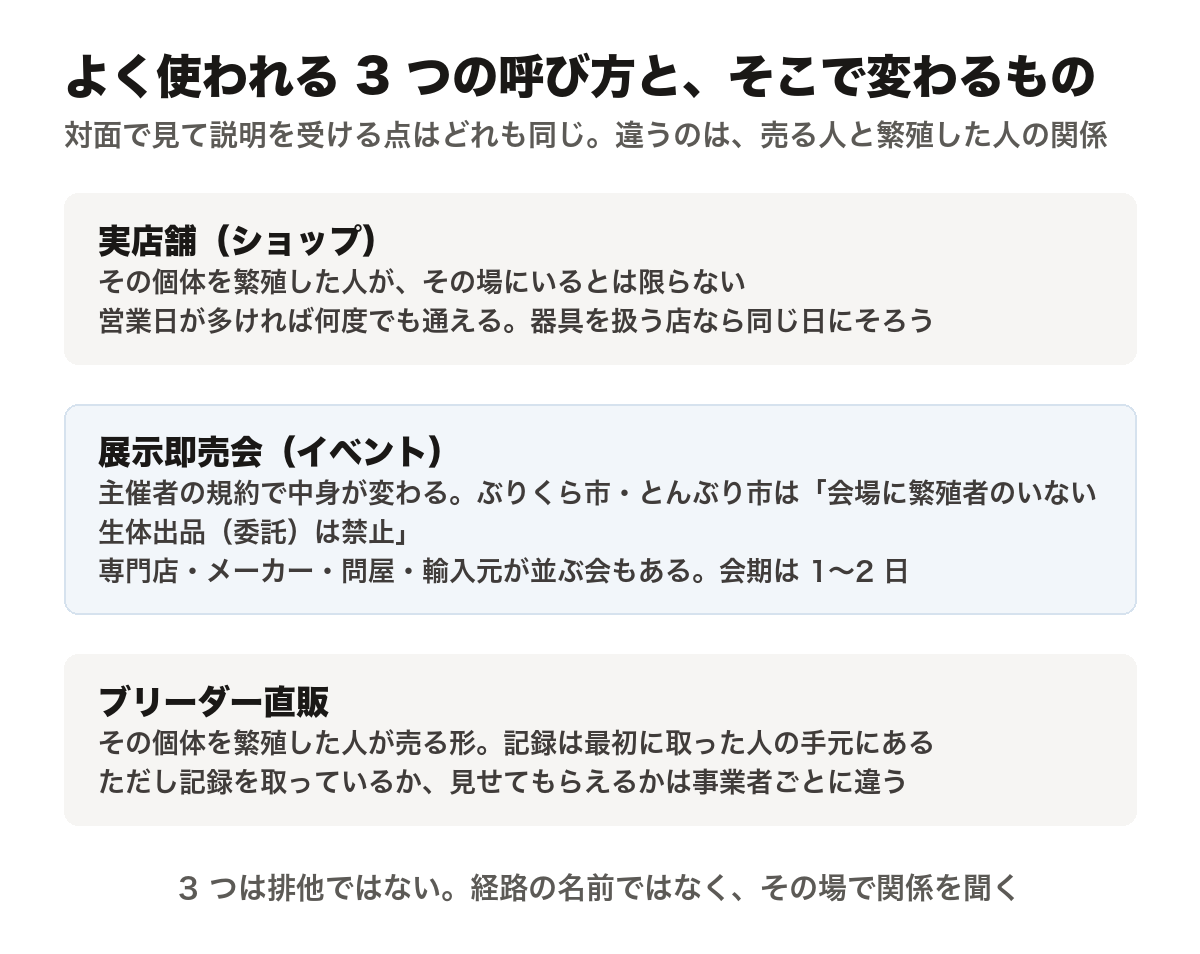 ボールパイソンを買う経路としてよく使われる3つの呼び方を並べた図。対面で見て説明を受ける点はどれも同じで、違うのは売る人と繁殖した人の関係。実店舗（ショップ）は、その個体を繁殖した人がその場にいるとは限らない。営業日が多ければ何度でも通え、器具を扱う店ならケージや保温器具を同じ日にそろえられる。展示即売会（イベント）は主催者の規約で中身が変わり、ぶりくら市・とんぶり市は「会場に繁殖者のいない生体出品（委託）は禁止」としている。専門店・メーカー・問屋・輸入元が並ぶ会もあり、会期は1〜2日。ブリーダー直販は、その個体を繁殖した人が売る形。記録は最初に取った人の手元にあるが、記録を取っているか、見せてもらえるかは事業者ごとに違う。この3つは排他ではなく、自家繁殖個体を店舗や即売会で売ることもある。経路の名前ではなく、その場で関係を聞くのが確実。