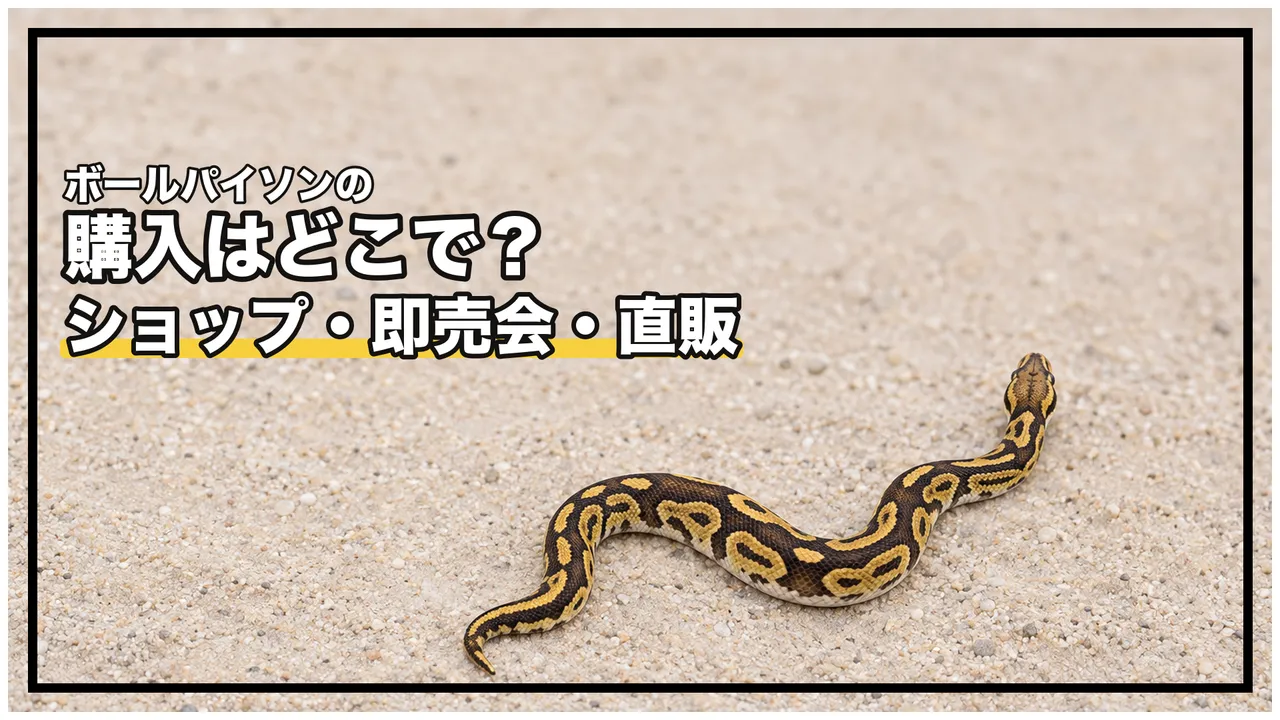eyecatch
