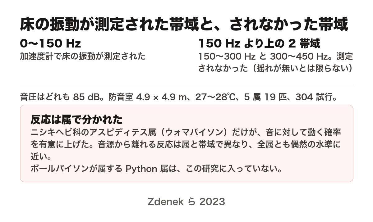 Zdenek ら 2023 の実験条件と結果をまとめた図。0〜150 Hz の帯域では加速度計で床の振動が測定された。150〜300 Hz と 300〜450 Hz の2帯域では測定されなかった。音圧はどれも85 dB、防音室は4.9×4.9 m、27〜28℃、5属19匹、304試行。反応は属で分かれ、ニシキヘビ科のアスピディテス属（ウォマパイソン）だけが音に対して動く確率を有意に上げた。音源から離れる反応は属と帯域によって異なり、全属とも偶然の水準に近い。ボールパイソンが属する Python 属はこの研究に入っていない