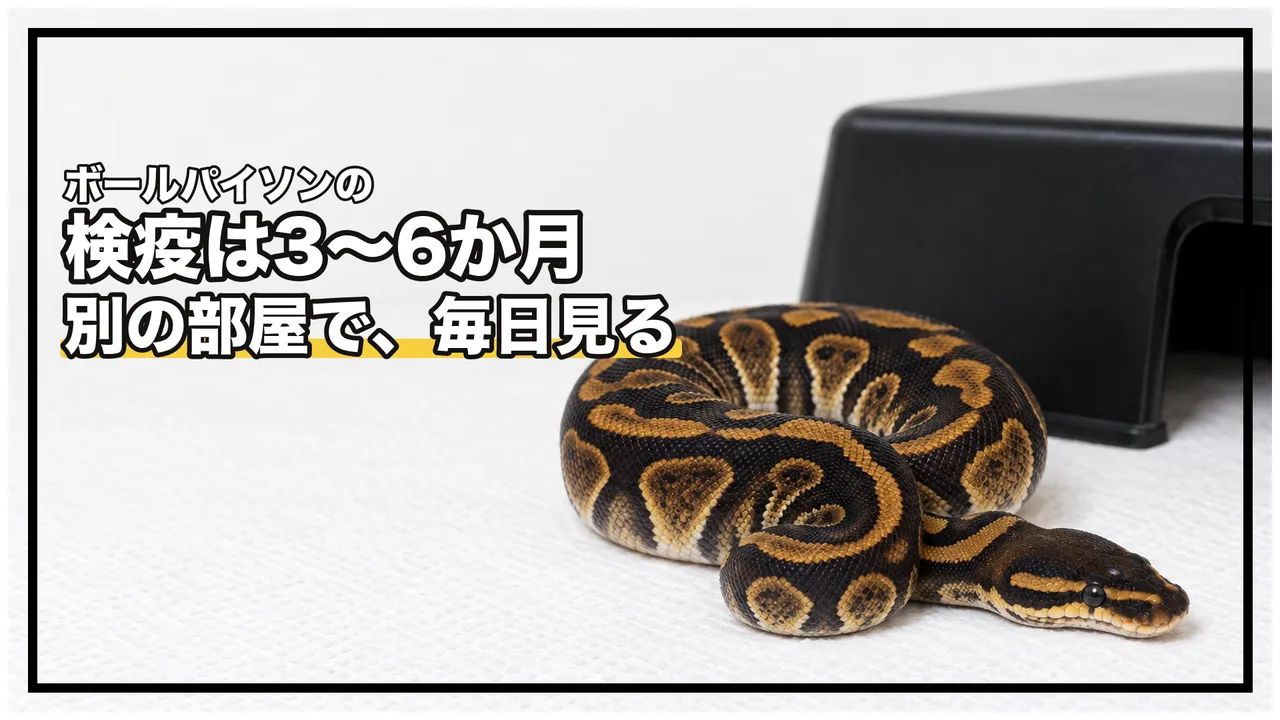eyecatch