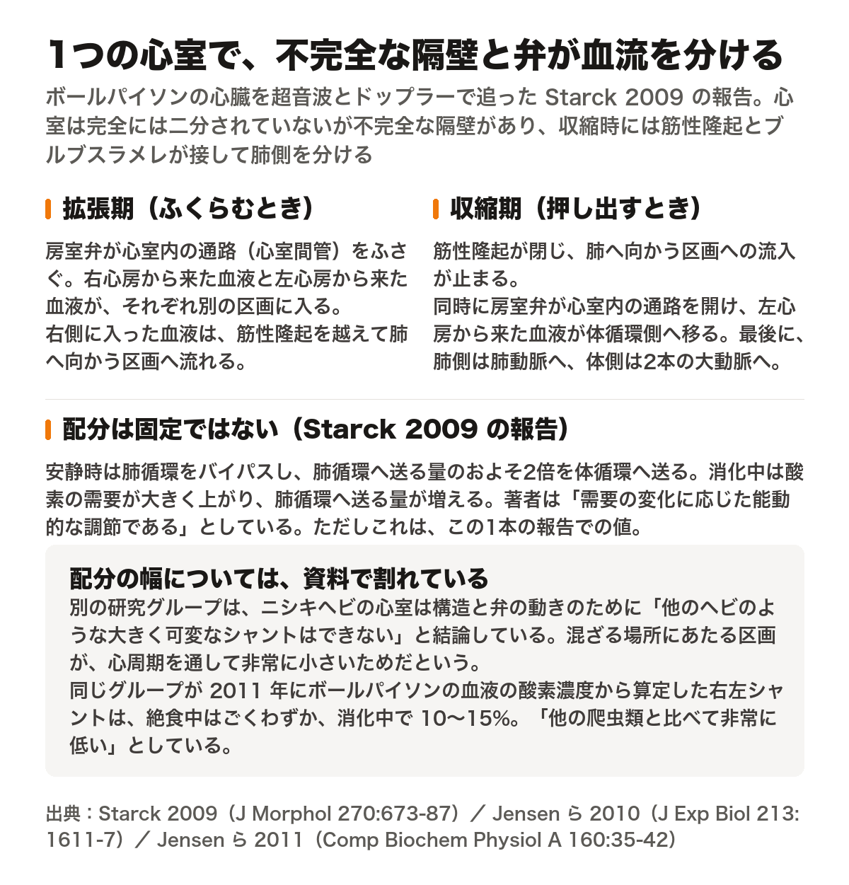 ボールパイソンの心臓の血流を拡張期と収縮期に分けて説明した図。心室は完全には二分されていないが不完全な隔壁があり、収縮時には筋性隆起とブルブスラメレが接して肺側を分ける。拡張期は房室弁が心室内の通路（心室間管）をふさぎ、右心房と左心房から来た血液が別の区画に入り、右側の血液は筋性隆起を越えて肺へ向かう区画へ流れる。収縮期は筋性隆起が閉じて肺側への流入が止まり、房室弁が心室内の通路を開けて左心房から来た血液が体循環側へ移り、最後に肺側は肺動脈へ、体側は2本の大動脈へ送られる。Starck 2009の報告では、安静時は肺循環をバイパスして肺循環へ送る量のおよそ2倍を体循環へ送り、消化中は肺循環へ送る量が増える。ただしこれは1本の報告での値で、別の研究グループは、ニシキヘビの心室は大きく可変なシャントはできないと結論している。同じグループが2011年にボールパイソンの血液の酸素濃度から算定した右左シャントは、絶食中はごくわずか、消化中で10〜15%で、他の爬虫類と比べて非常に低いとしている。出典はStarck 2009（J Morphol 270:673-87）、Jensenら2010（J Exp Biol 213:1611-7）、Jensenら2011（Comp Biochem Physiol A 160:35-42）