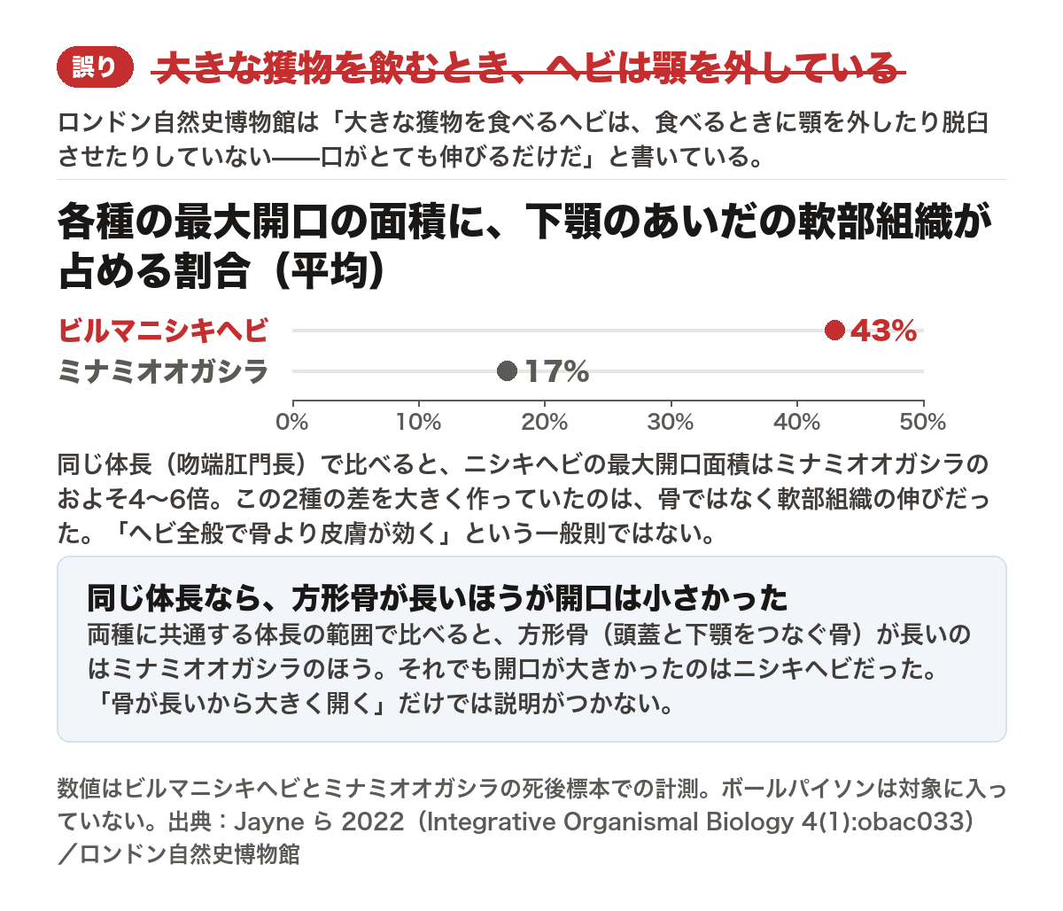 ヘビが顎を外すという説明が誤りであることを示した図。ロンドン自然史博物館は、大きな獲物を食べるヘビは顎を外したり脱臼させたりしておらず、口がとても伸びるだけだとしている。各種の最大開口の面積に下顎のあいだの軟部組織が占める割合の平均は、ビルマニシキヘビが43%、ミナミオオガシラが17%。同じ体長（吻端肛門長）で比べるとニシキヘビの最大開口面積はおよそ4〜6倍大きい。両種に共通する体長の範囲では方形骨が長いのはミナミオオガシラのほうだったが、開口が大きかったのはニシキヘビだった。これは各種の最大開口面積を構成要素に分けた比較であって、ヘビ全般で骨より皮膚が効くという一般則ではない。数値は死後標本での計測で、ボールパイソンは対象に入っていない。出典はJayneら2022、Integrative Organismal Biology 4巻1号obac033
