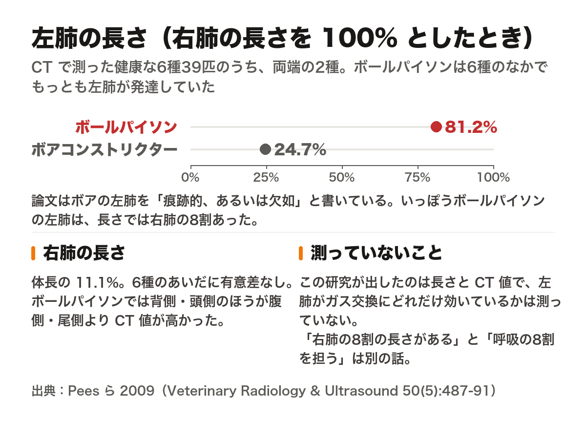 左肺の長さを右肺の長さに対する割合で比べた比較図。ボールパイソンは81.2%、ボアコンストリクターは24.7%。右肺の長さは体長の11.1%で6種間に有意差なし。ボールパイソンでは背側・頭側のほうが腹側・尾側よりCT値が高かった。この研究が測ったのは長さとCT値であり、左肺がガス交換にどれだけ寄与しているかは測っていない。出典はPeesら2009、Veterinary Radiology & Ultrasound 50巻5号487-91ページ