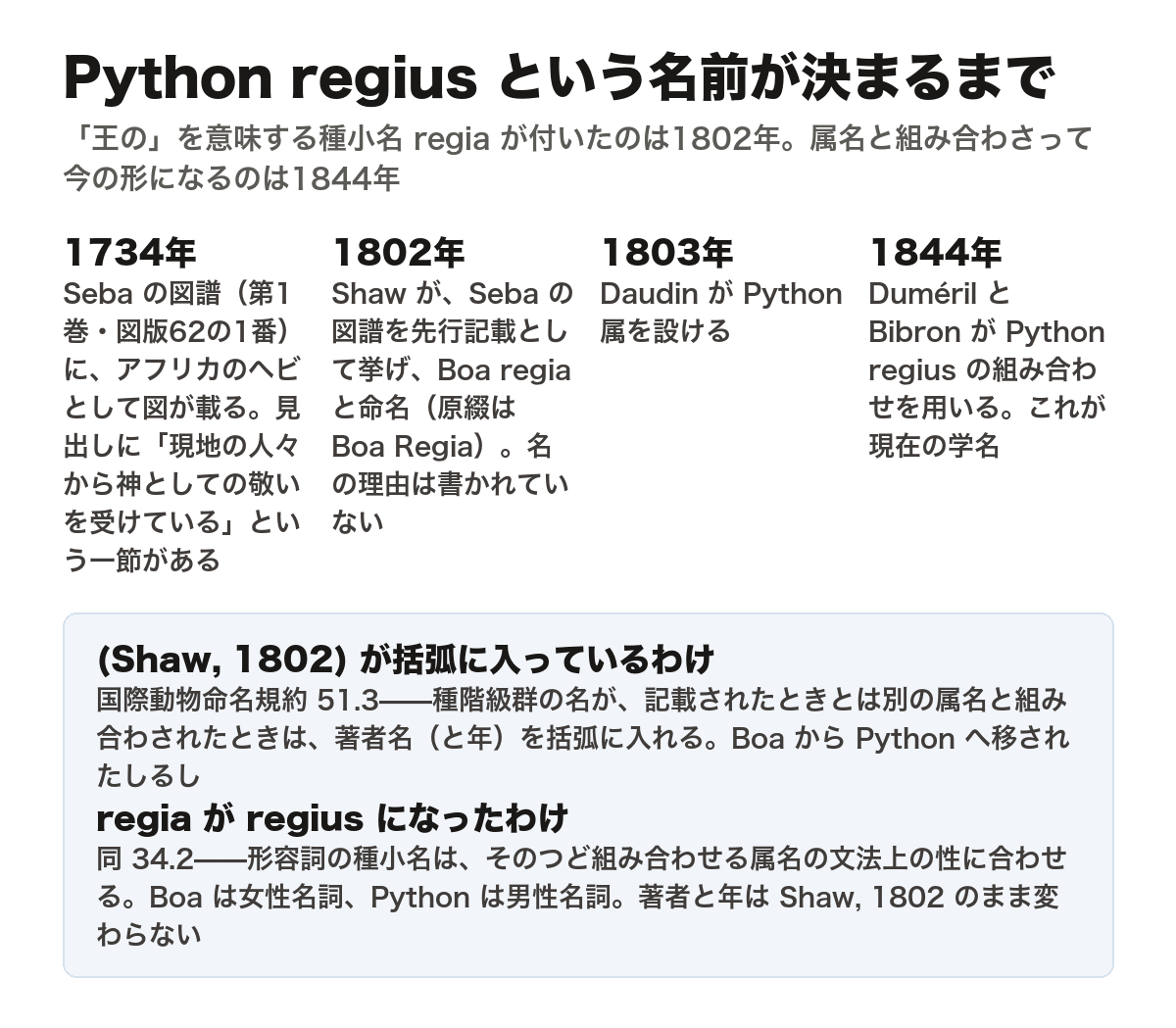Python regius という学名が決まるまでの流れを示した図。1734年、Seba の図譜の第1巻・図版62の1番にアフリカのヘビとして図が載り、その見出しに「現地の人々から神としての敬いを受けている」という一節がある。1802年、Shaw が Seba の図譜を先行記載として挙げ、Boa regia と命名したが(原綴は Boa Regia)、名の理由は書かれていない。1803年、Daudin が Python 属を設ける。1844年、Duméril と Bibron が Python regius の組み合わせを用い、これが現在の学名になる。学名の著者が (Shaw, 1802) と括弧に入るのは、記載されたときとは別の属名と組み合わされたしるしで、国際動物命名規約 51.3 による。regia が regius になったのは同 34.2 によるもので、形容詞の種小名は組み合わせる属名の文法上の性に合わせるため。Boa は女性名詞、Python は男性名詞。著者と年は Shaw, 1802 のまま変わらない