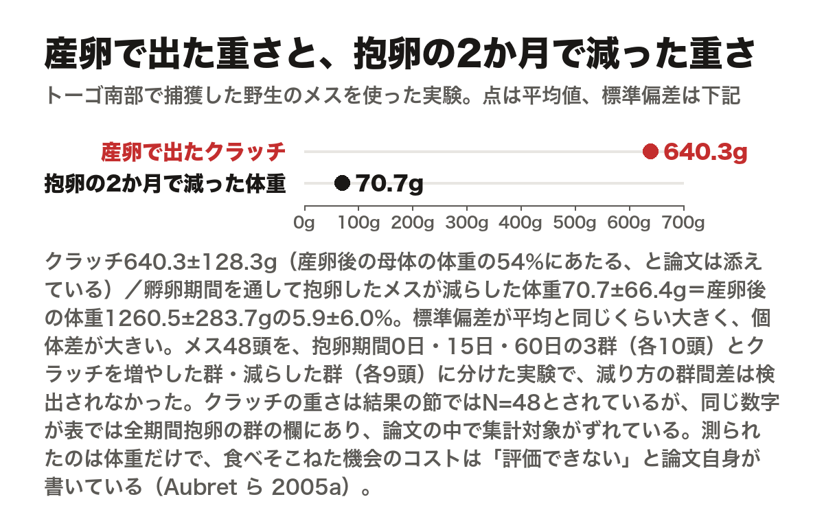 同じ論文が並べている2つの重さを、平均値の位置を点で示した図。横軸は0グラムから700グラムまで100グラムごとの目盛り。産卵で出たクラッチの重さが平均640.3±128.3グラム、孵卵期間を通して抱卵したメスがそのあいだに減らした体重が平均70.7±66.4グラム。減ったぶんは産卵後の体重（平均1260.5±283.7グラム）の5.9±6.0パーセントにあたる。標準偏差が平均と同じくらい大きく、個体差が大きい。トーゴ南部で捕獲された野生のメス48頭を、抱卵期間0日・15日・60日の3群（各10頭）とクラッチを増やした群・減らした群（各9頭）に分けた実験。クラッチの重さは結果の節ではN=48とされているが、同じ数字が表では全期間抱卵の群の欄にあり、論文の中で集計対象がずれている（Aubretら2005a）。