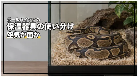 ボールパイソンの保温器具の使い分け｜エアコン・上部ヒーター・保温球・パネルヒーターの役割分担