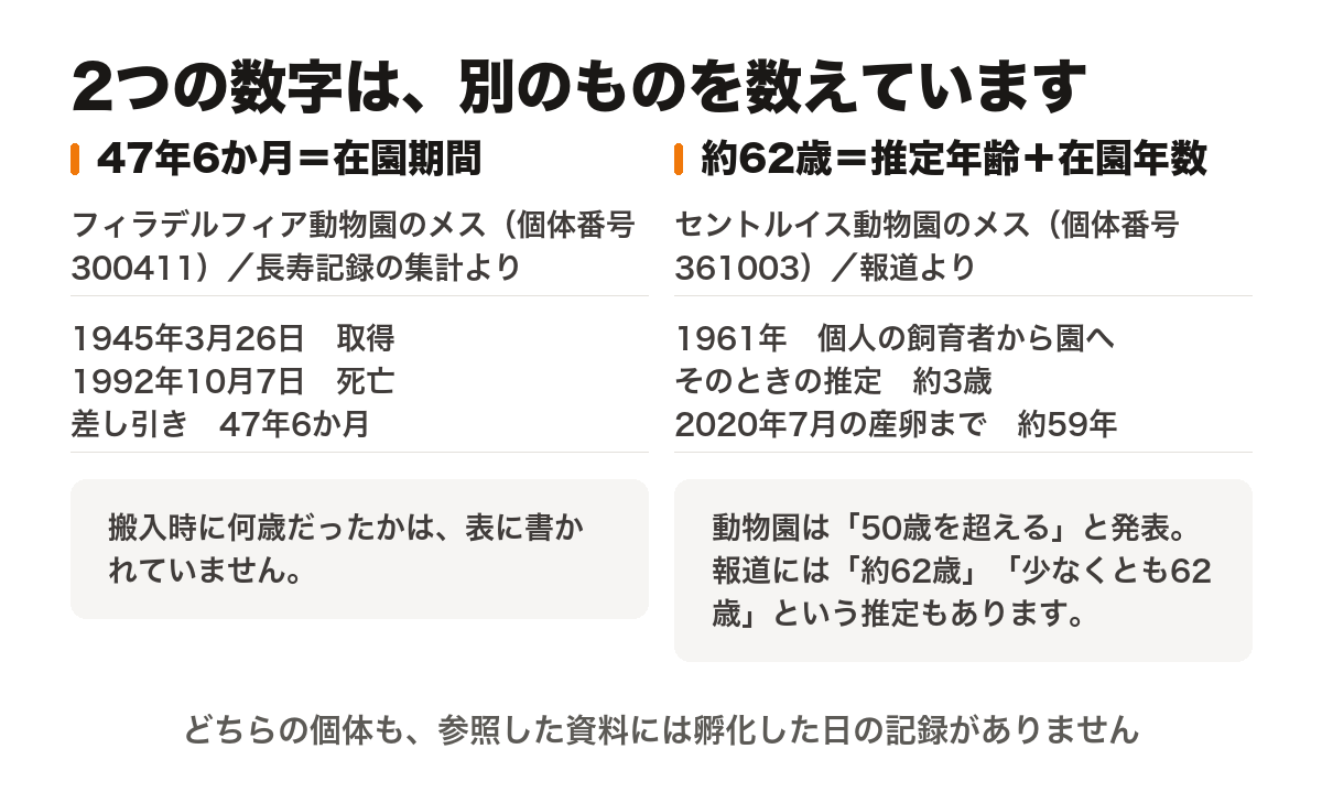 「47年6か月」と「62歳」が何を数えた数字かを2列で並べた図。左のフィラデルフィア動物園のメス（個体番号300411）は、長寿記録の集計に1945年3月26日取得・1992年10月7日死亡と記載があり、その差し引きが47年6か月。搬入時の年齢は表に書かれていない。右のセントルイス動物園のメス（個体番号361003）は、報道によれば1961年に個人の飼育者から園へ譲られ、そのときの推定年齢が約3歳、2020年7月の産卵までの在園年数が約59年で、足して約62歳と報じられた。動物園は50歳を超えると発表しており、報道には約62歳・少なくとも62歳という推定もあるという注記がある。どちらの個体も、参照した資料に孵化した日の記録がない。