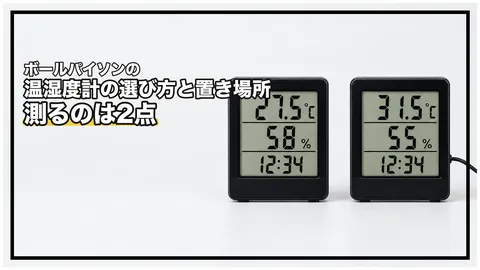 ボールパイソンの温湿度計の選び方と置き場所｜2点で測る・空気と床は別に測る