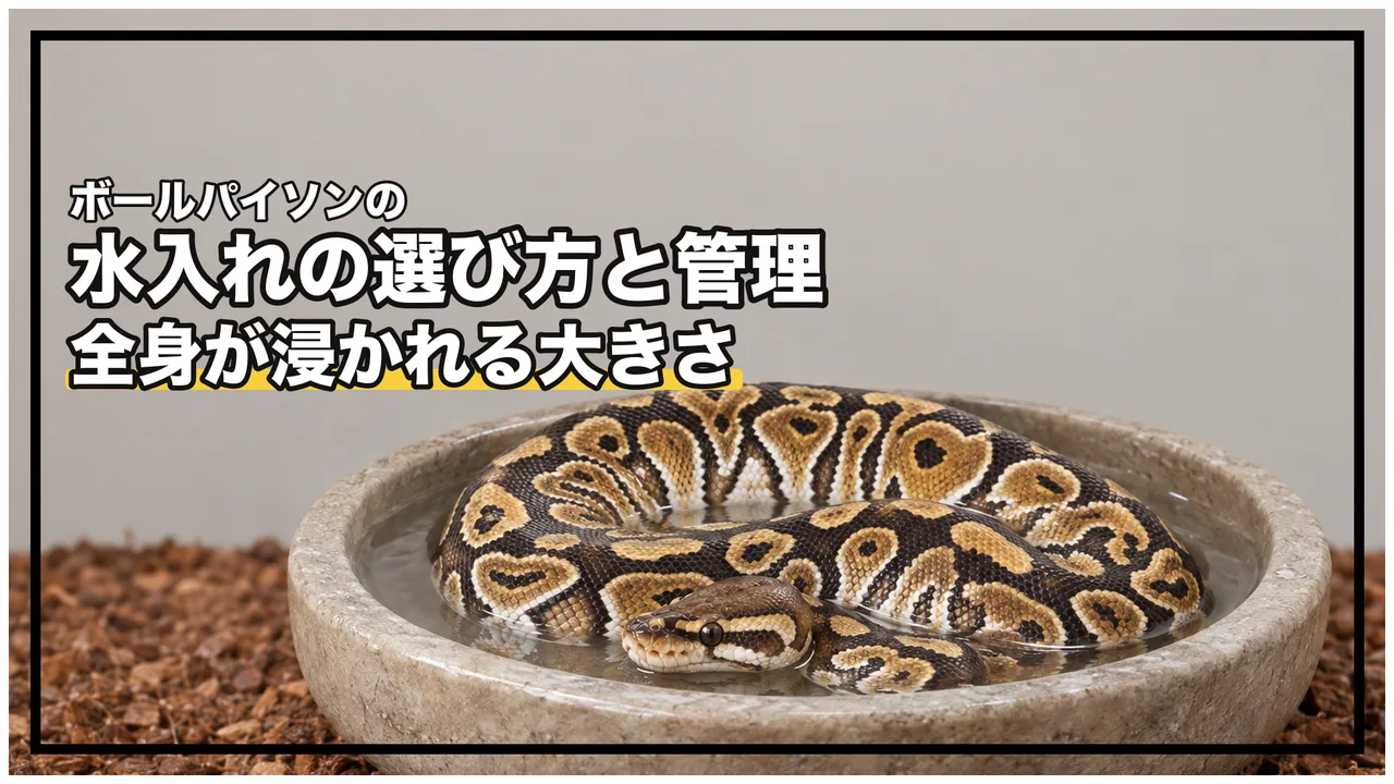 eyecatch