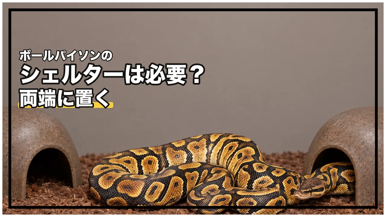 eyecatch