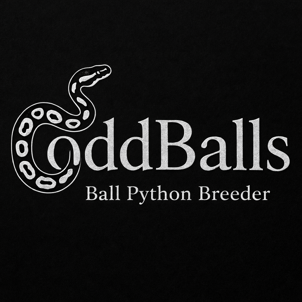 oddBalls banner