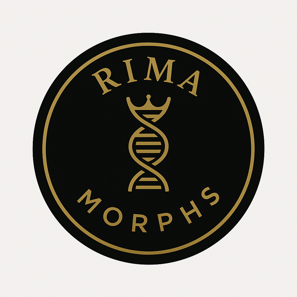 RIMA Morphs