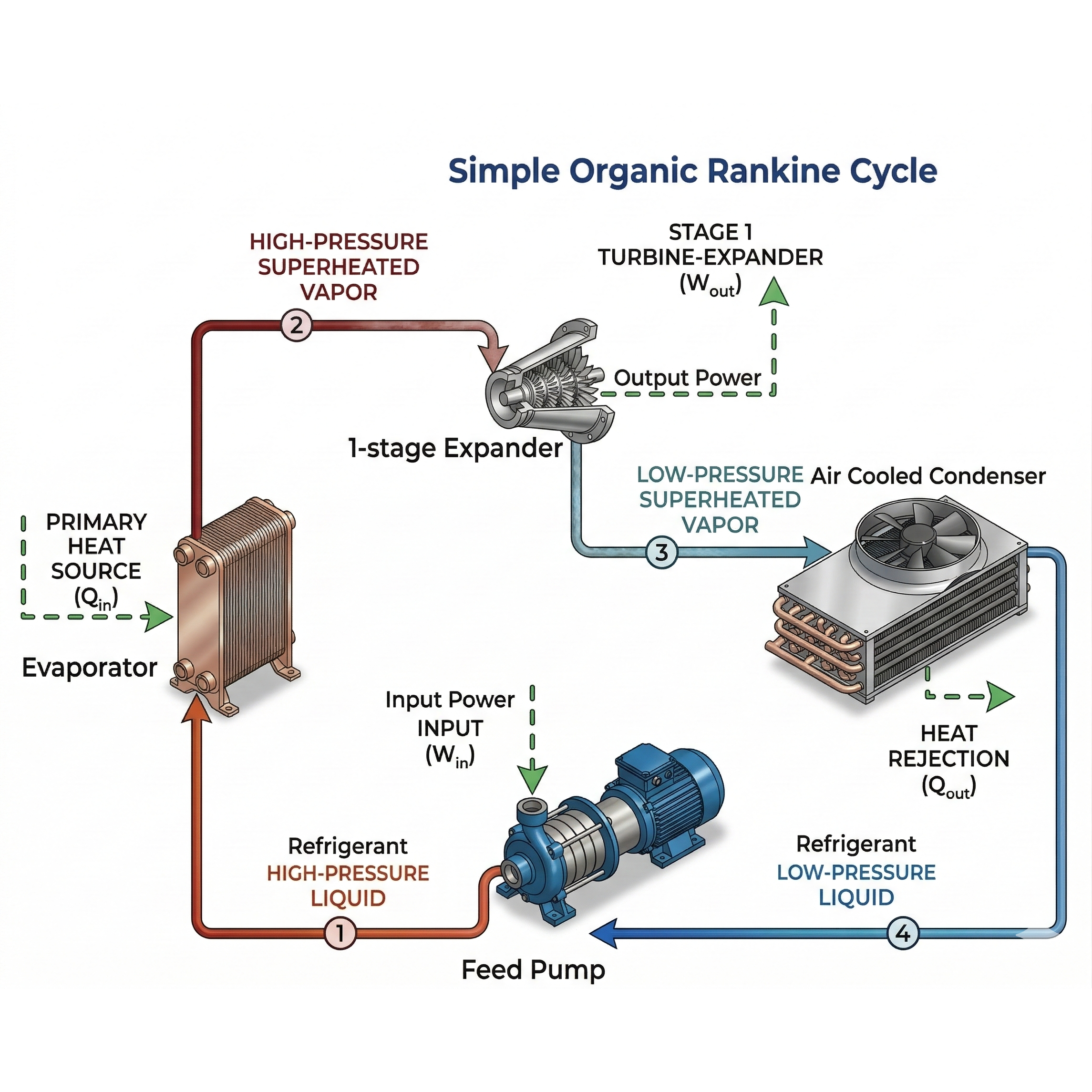 Organic Rank and Cycle