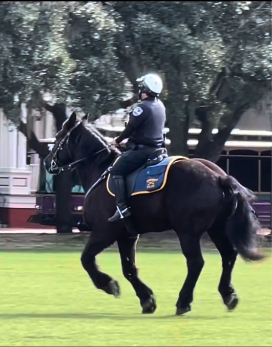 SGT Grant at Valor Farms — 3