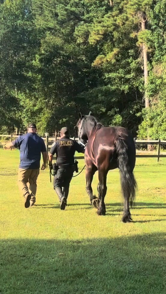 SGT Grant at Valor Farms — 4