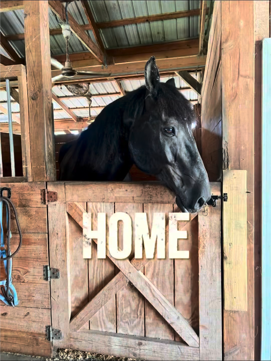 SGT Grant at Valor Farms — 7