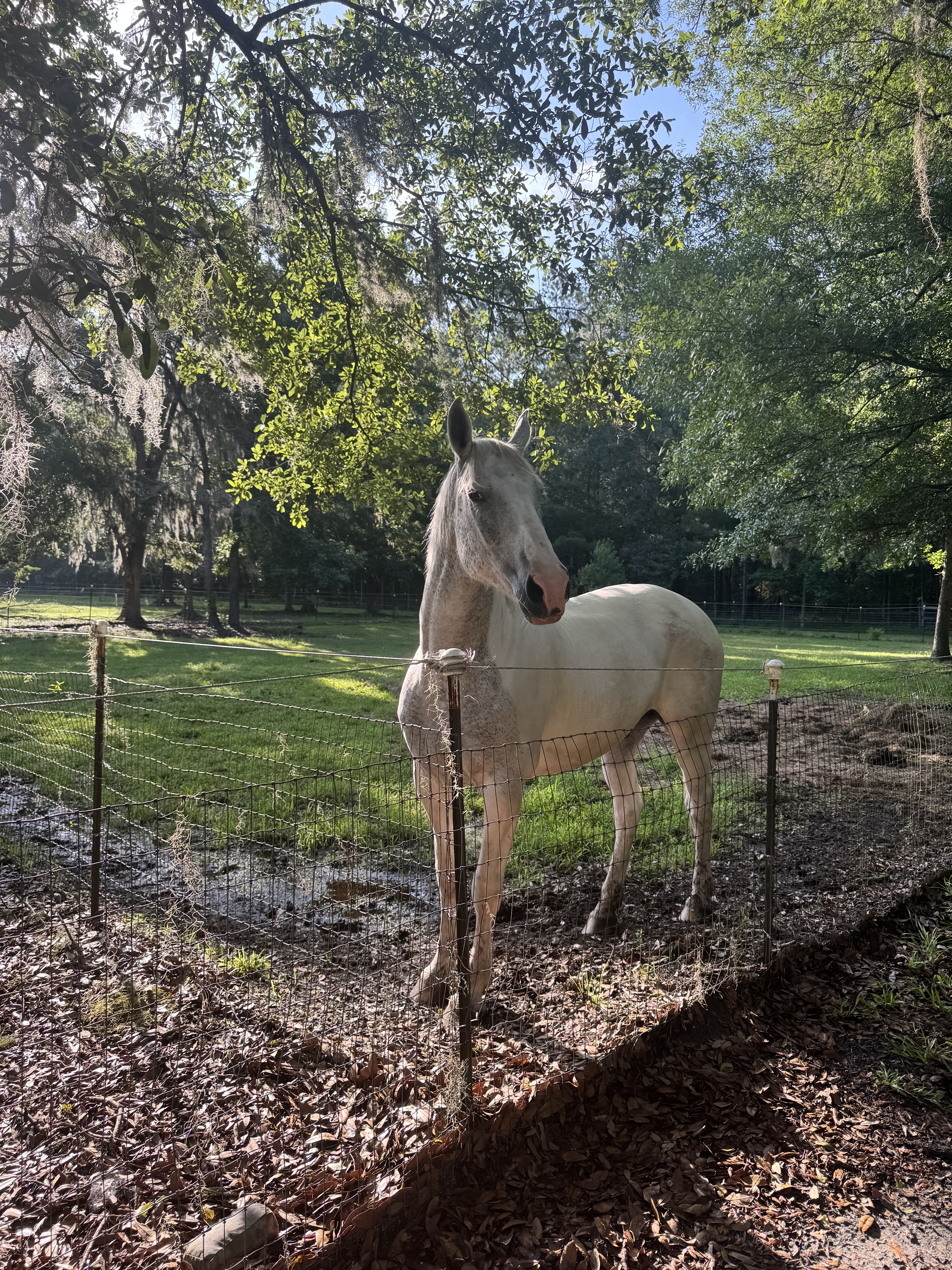 Valor Farms