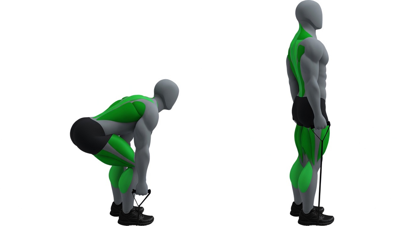 Deadlift (Band) exercise demonstration