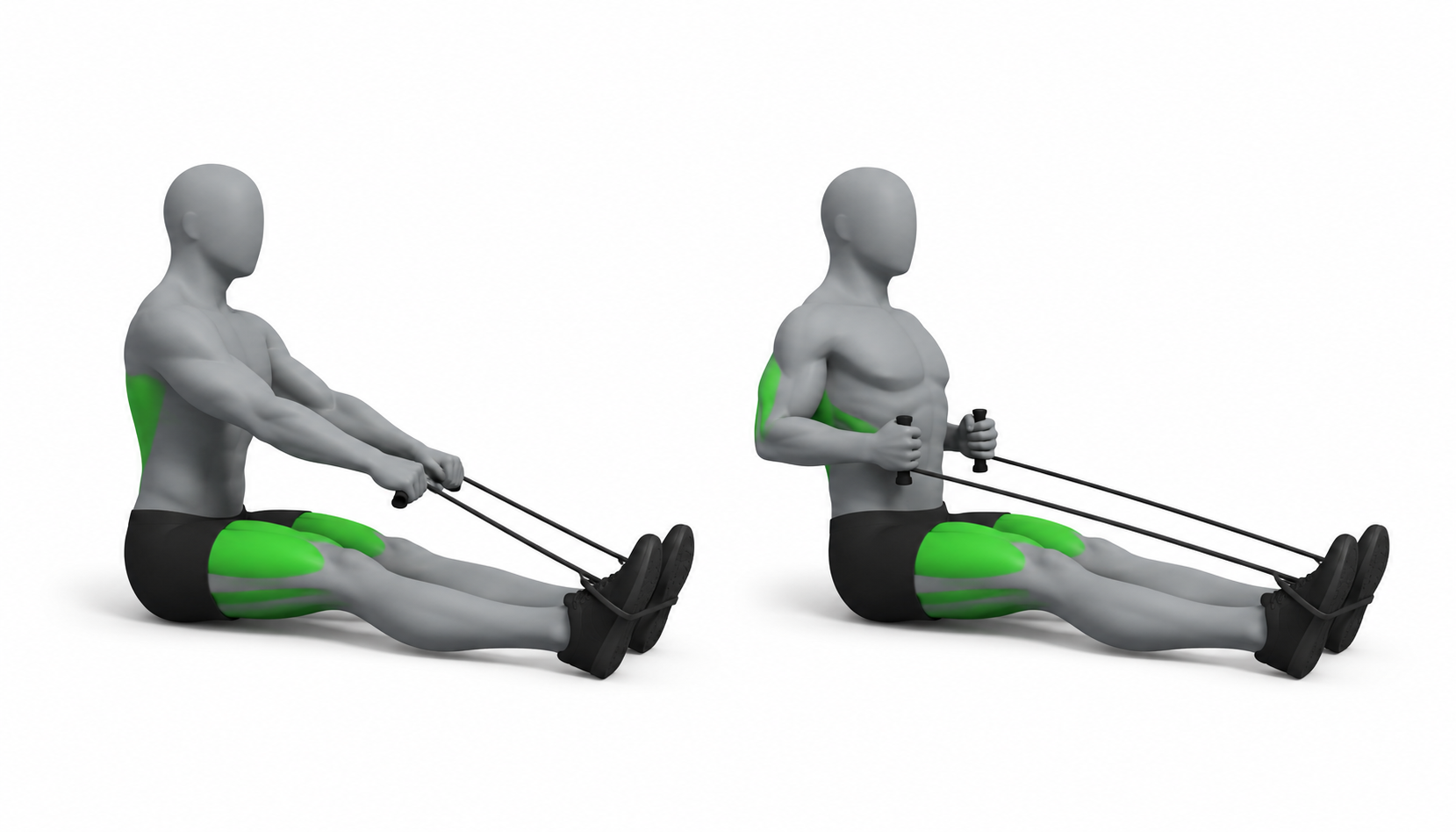 Seated Row (Band) exercise demonstration
