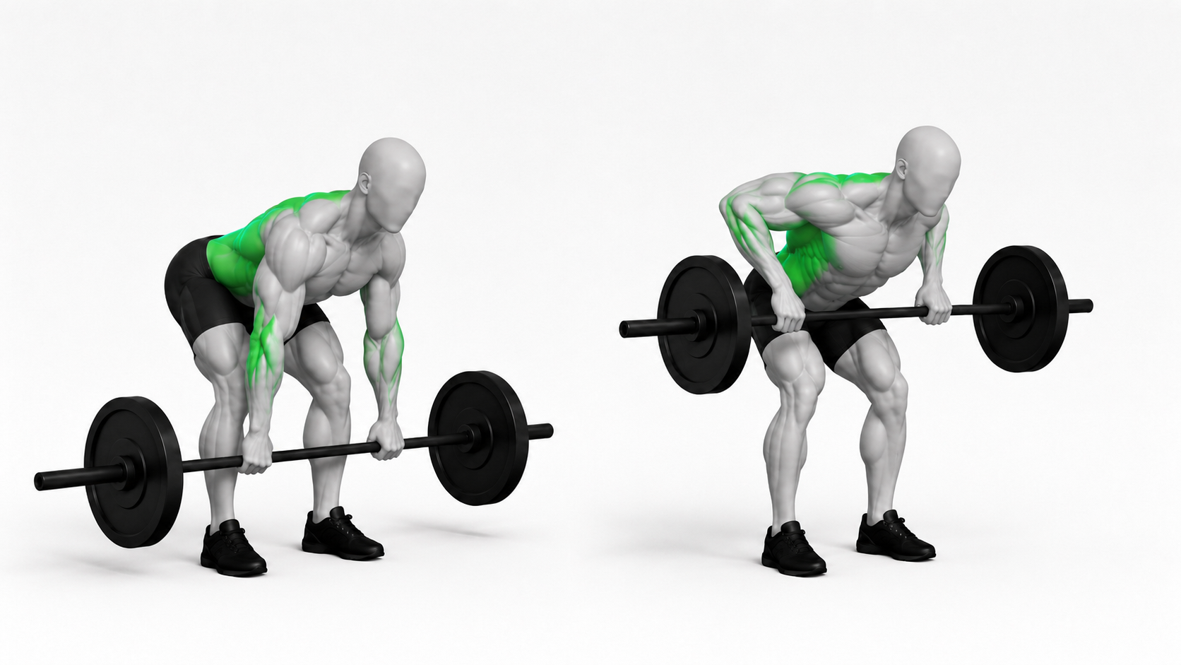 bent-over barbell row showing bottom position and top pulled-to-torso position