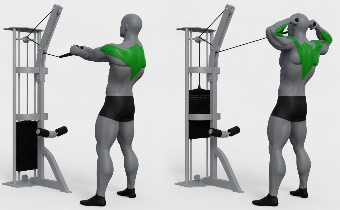 Cable face pull exercise demonstration