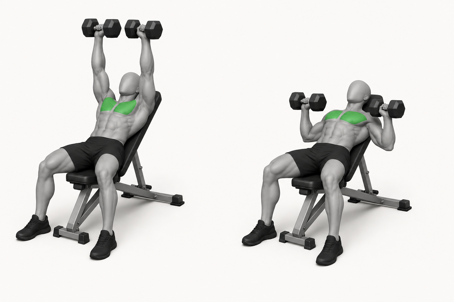 Incline dumbbell bench press exercise demonstration