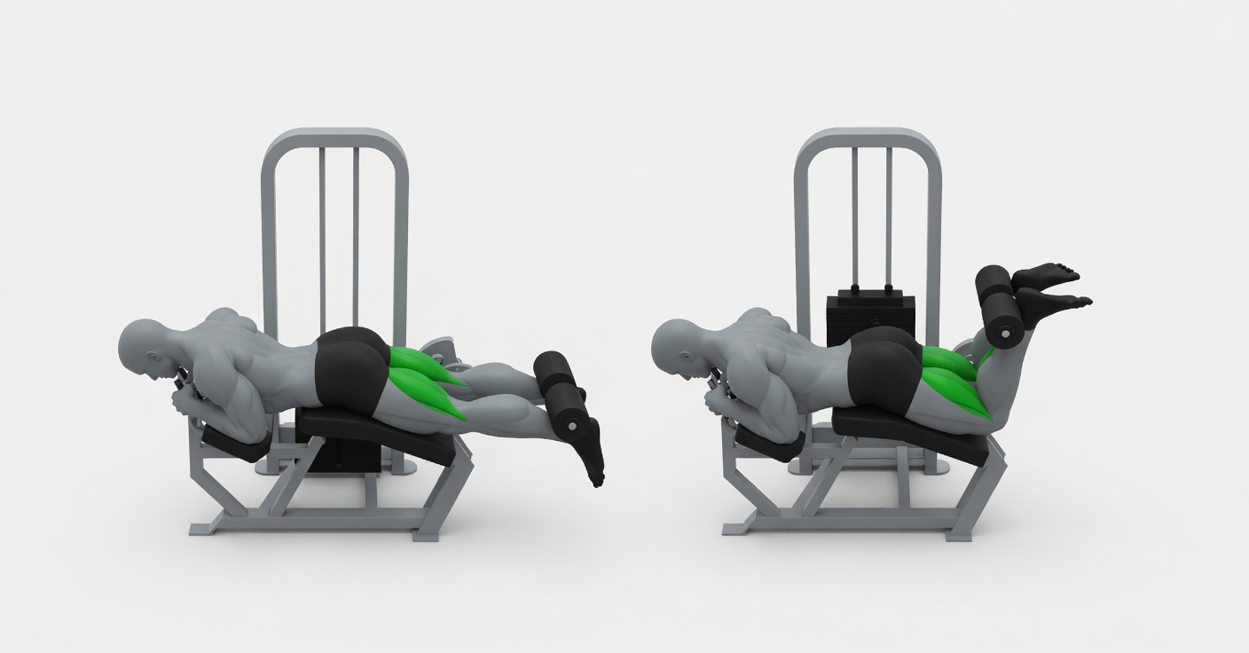 Lying machine leg curl exercise demonstration