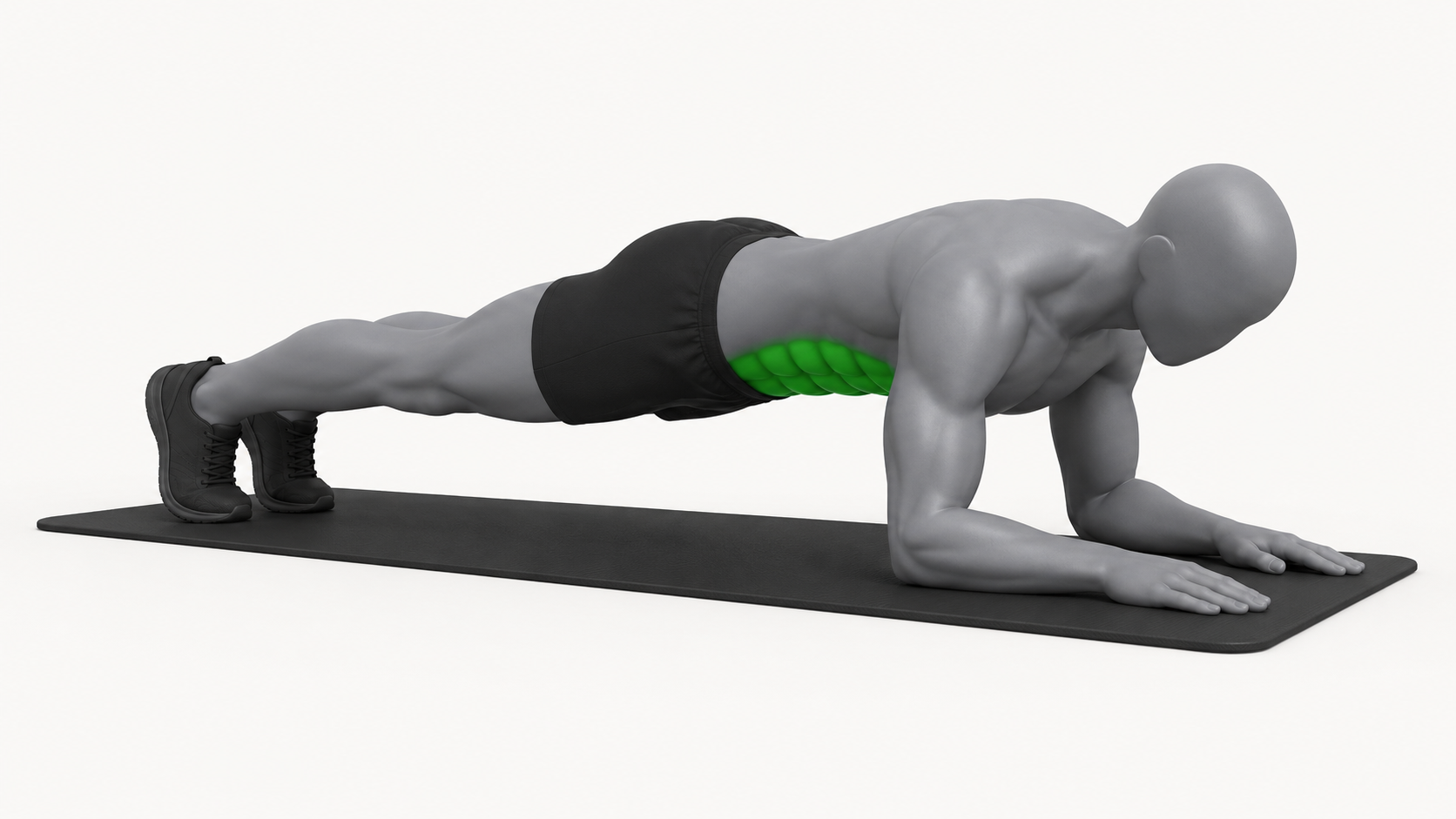 Forearm plank exercise demonstration