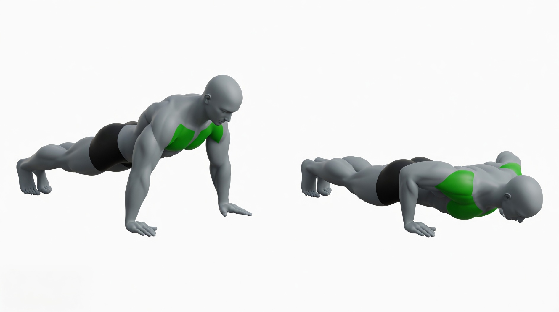 standard push-up exercise showing top plank and bottom position