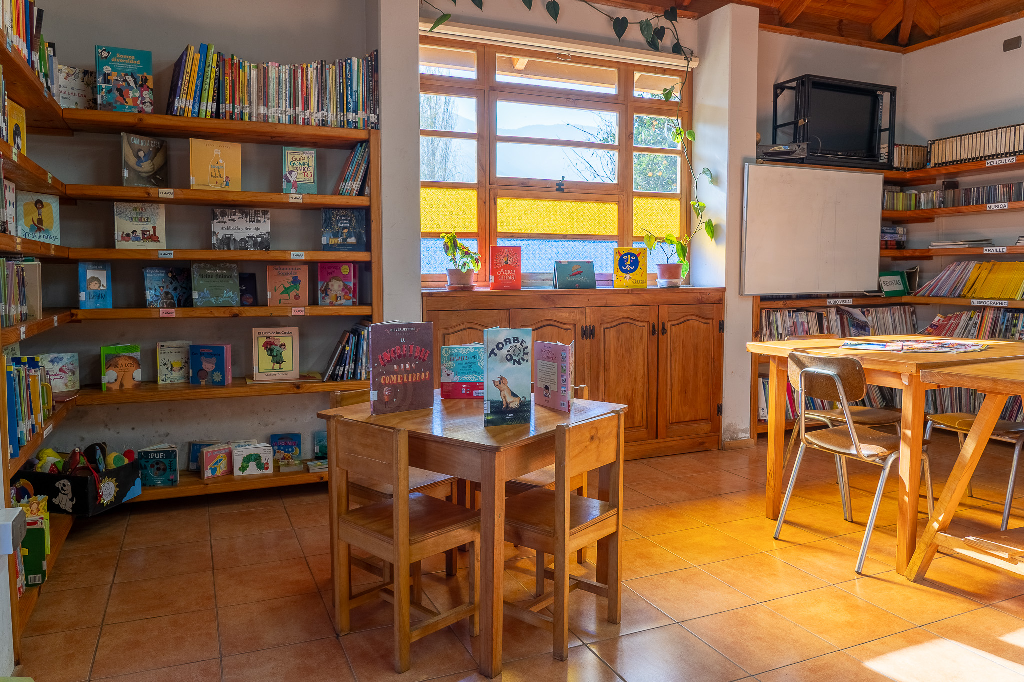 “La Biblioteca del Agua”: La curiosa historia de la cooperativa de agua potable rural que promueve cultura en la comunidad
