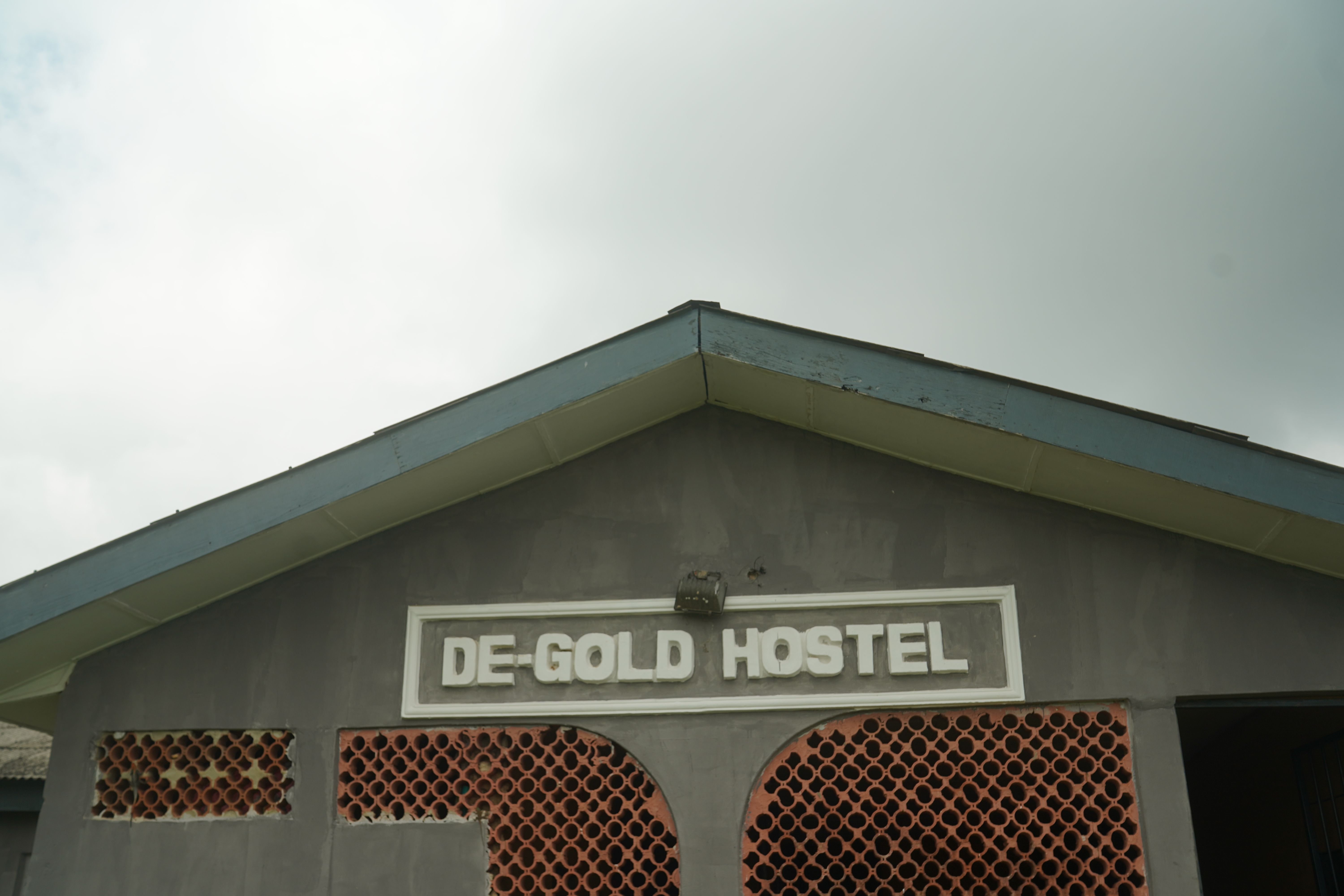 DE-GOLD photo 7