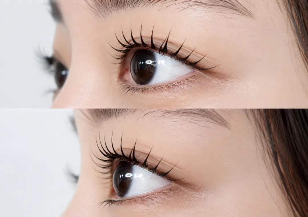 eyelash & whitening  La  Livi