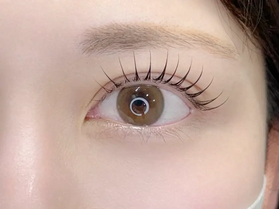 eyelash & whitening  La  Livi
