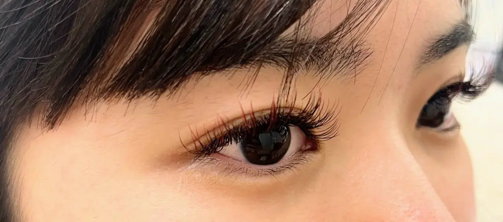 eyelash salon CIEL