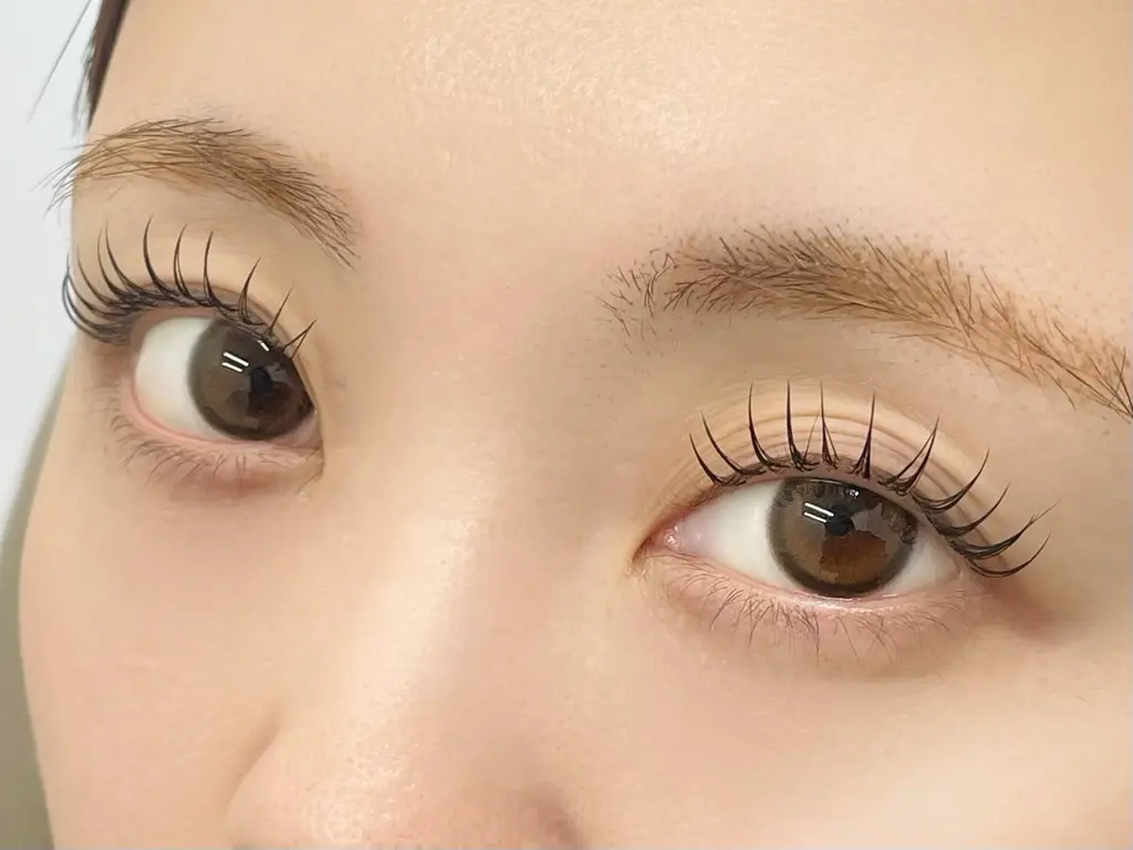 RePuli eyelash salon