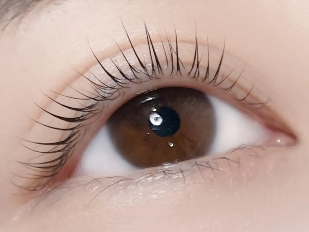 RePuli eyelash salon