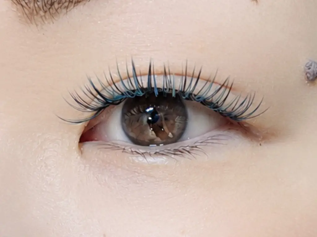 RePuli eyelash salon