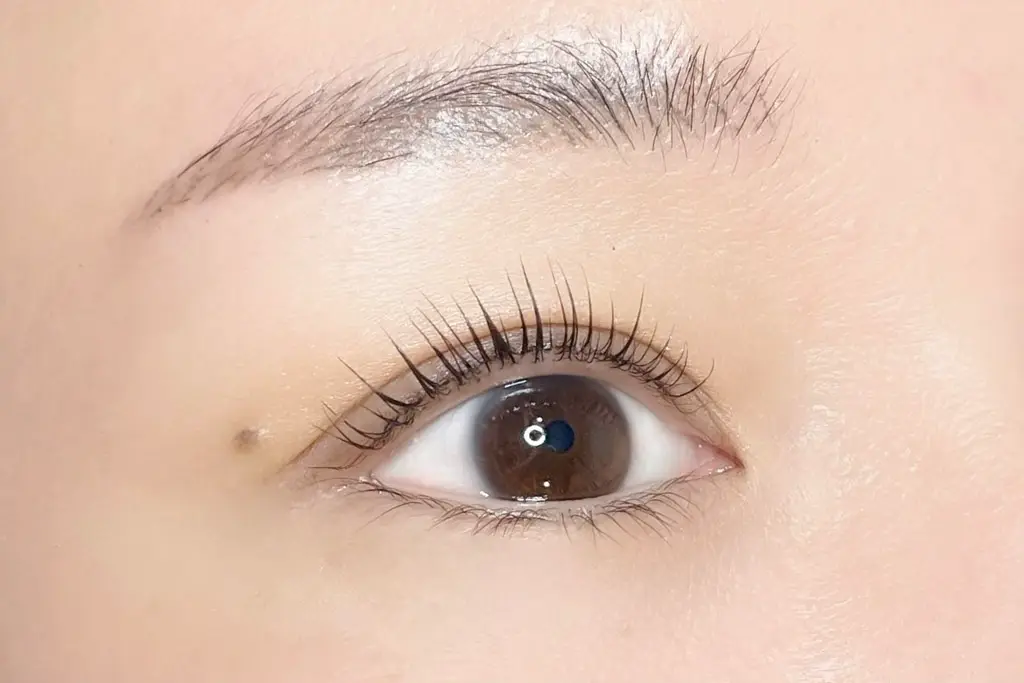 RePuli eyelash salon