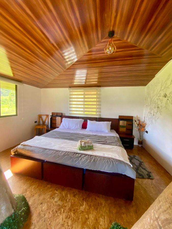 Habitacion arbol