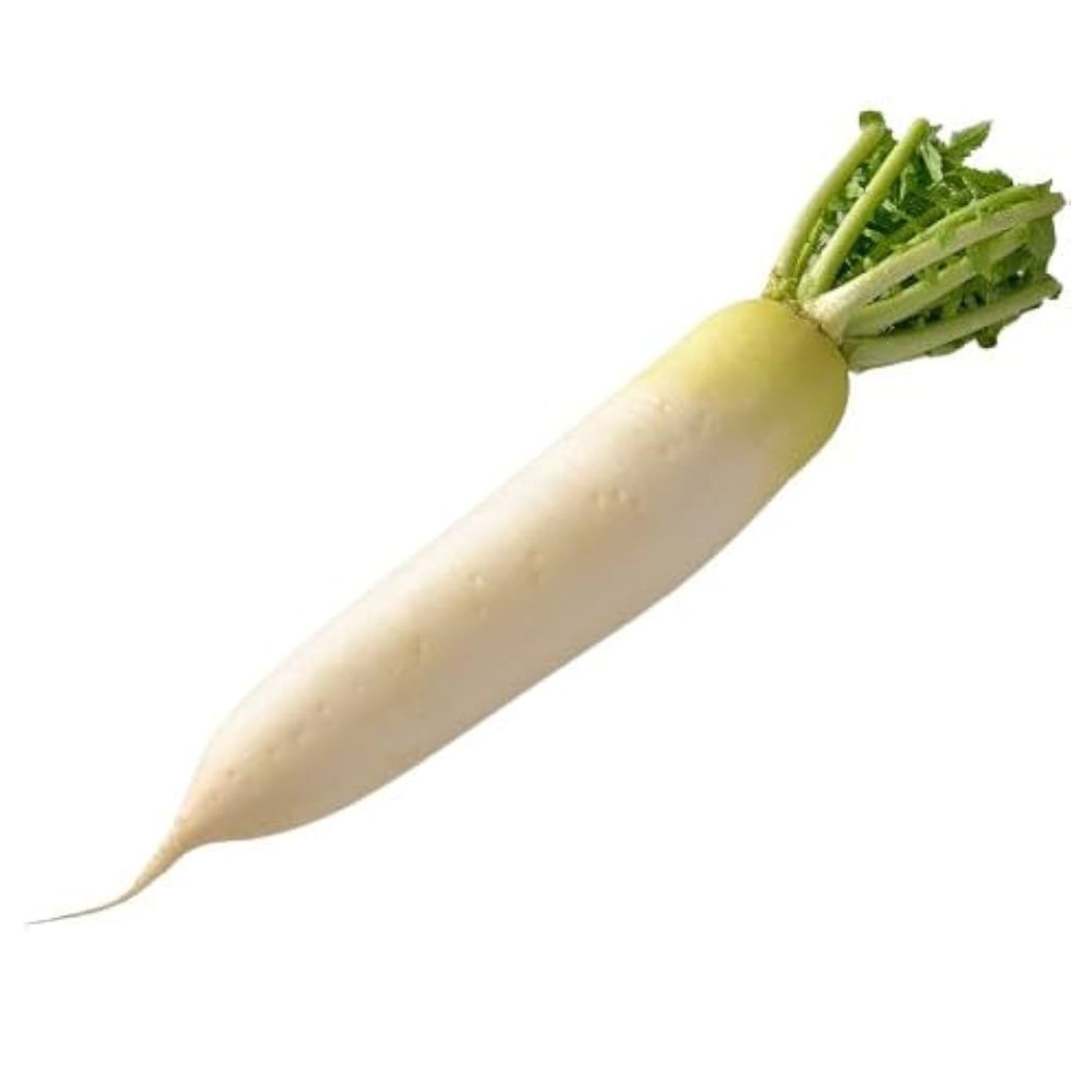 大根