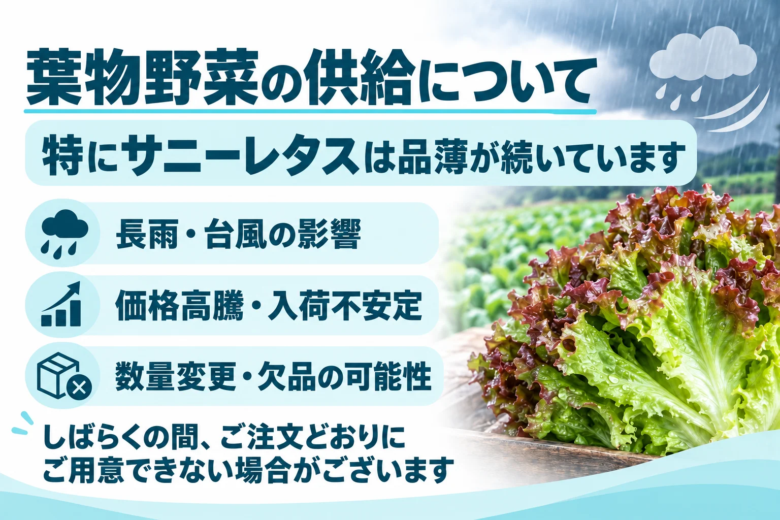 葉物につきまして