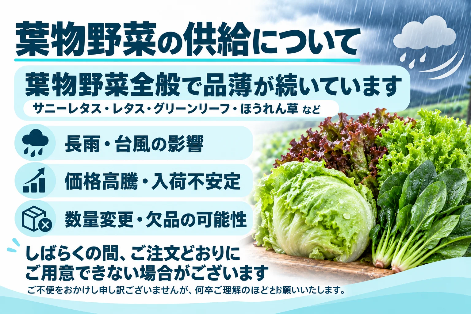 葉物につきまして