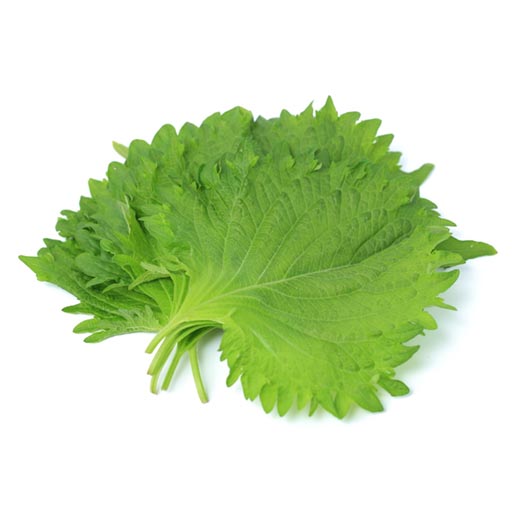 大葉