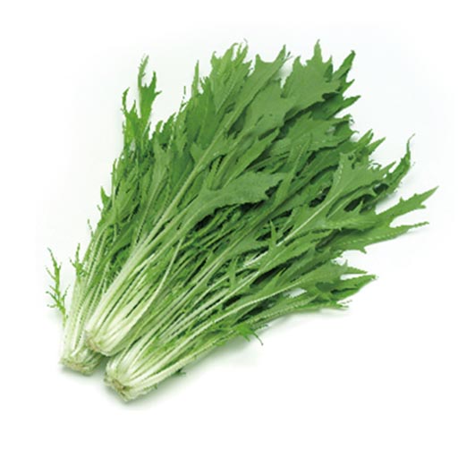 水菜