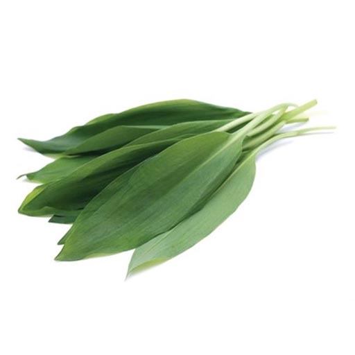 ギョウザニンニク (ミョンイ)