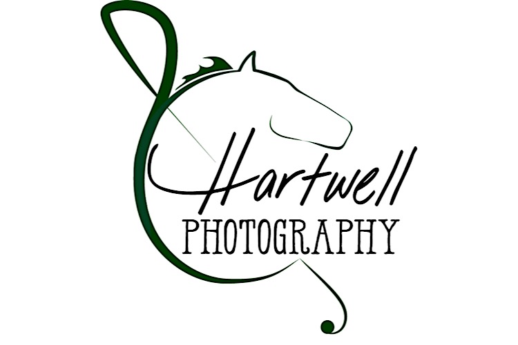 AH logo - transparent copy.jpg